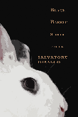 Black Rabbit & Other Stories by Salvatore Difalco